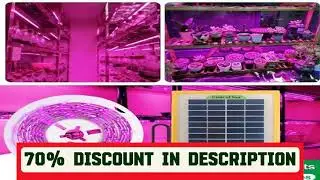 A must-have product! Solar Panel LED Grow Light Full Spectrum 5V Grow Light Strip 3m 2835 LED Phyt