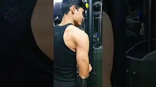 Triceps Workout | Bigger & Stronger Arms | Triceps Day Gym Motivation | Arm Training | #shorts