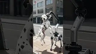 Trapped Dog Breed Black & White from Peril, Robot Dog Saves the Day