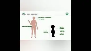 GREEN WORLD ZINC TABLET