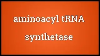 Aminoacyl tRNA synthetase Meaning