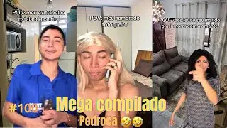 40 MINUTOS DOS MELHORES MEMES DO PEDROCA #100