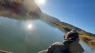 Large Brown Trout at Texas Hole wouldn&rsquo;t fit in the net.