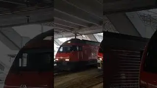#intercity #ic #re460 #sbb #cff #ffs #trainspotting #railway #schweiz #swisstrains #shorts #yt