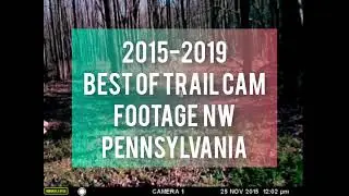 Top NW PA Game Camera Footage