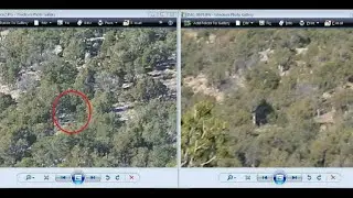 BIGFOOT KILL PIT, ALIEN PORTAL WITH 3D IMAGE, AND UFO WARS