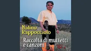 U mastru di lu sonu