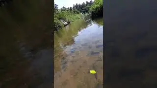 Siruvani River Kottathurai