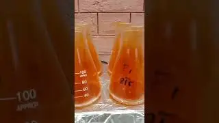 The Roots of Maize: A Wet Acid Digestion Overview