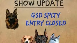 AGRA GERMAN SHEPHERD SPECIALITY DOG show 4 october 25 #viral #video #gsdlover #germanshepherd #pet 