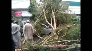 Rains turns weather pleasant but cause some damages in Peshawar