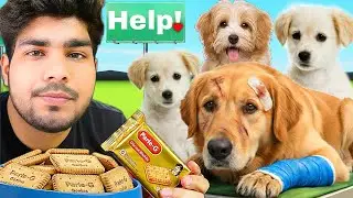 Parle-G Giveaways For Dogs | Challenging Video 