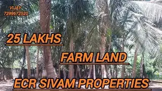 64///ECR SIVAM PROPERTIES 21cent coconut farm  total price 25 lakhs negotiable