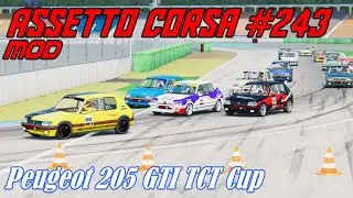 Assetto Corsa #243# Mod # Peugeot 205 GTI TCT Cup