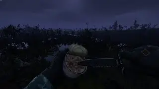 How beautiful a swamp can be