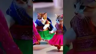 Dancing Cat Takes Center Stage! 🎤😻 #CatConcert #Shorts