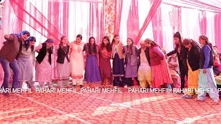 Kotkhai wedding dance video,shimla dance steps,paharimehfil,paharinati,pahari official,pahariculture