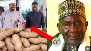 CHEIKH SIDY ARABE CHEIKH ELHADJ MOUHAMAD ZEYNAB NIASS: PR DIOMAY DIMBALILE BAYEKATE YI SI GU&Eacute;RT&Eacute; GUI
