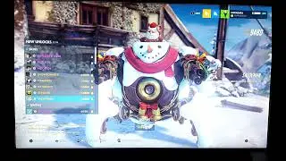 OVERWATCH WINTER WONDERLAND 2021 NEW SKINS
