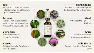 Wisdom Nutrition Review - WISDOM NUTRITION WORKS? - Try Wisdom Nutrition