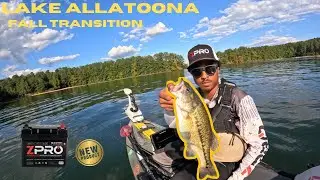 Lake Allatoona bass fishing (fall transitioning)