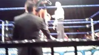 split ,melina,wwe,divas ,arecibo,