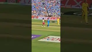 Palestine Supporter Entered Ground To Meet Virat Kohli In Final | #shortsfeed #shorts