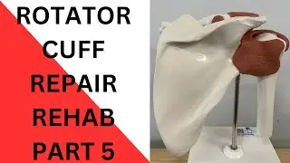 Rotator Cuff Repair Small to Medium Size Tear Rehab Weeks 11-12 (Phase V)