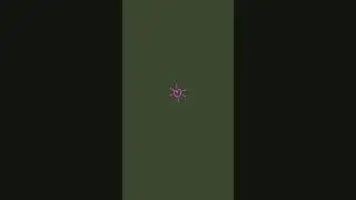 Шпинат - why not?  #салатыбелаядача #animation #салат #memes #юмор
