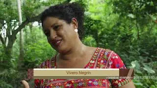 Orgullo Veracruzano - Amatitlán