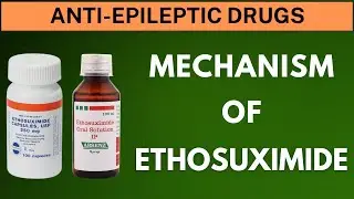 Mechanism of Action of Ethosuximide
