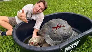 RIP… This Will Change My Zoo Forever…