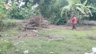 Bersih bersih belakang rumah impian joko Fitri