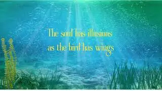 What you NEED to Hear Right Now Healing Quotes Meditation