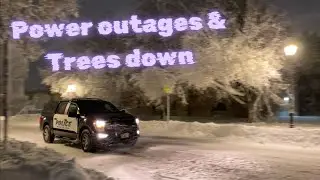 Numerous Trees Down And 40K People Without Power In Waukesha WI!