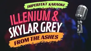 Illenium & Skylar Grey karaoke - From The Ashes