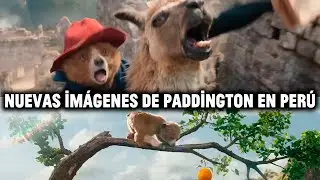 ¿PADDINGTON MONTANDO UNA LLAMA? ¿CONAN O'BRIEN HOST DE LOS OSCARS?