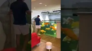 INCREIBLE acuario de Carpas Koi!! 🤩