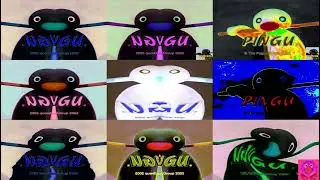 9 Pingu Outro V3