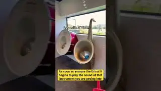 CRAZIEST yet most UNIQUE Male Toilets ever!! Located in New Zealand #shorts