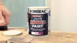 How to Prevent Mould in the Bathroom with Anti Mould Paint