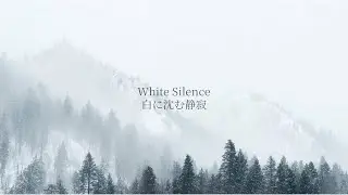 White Silence    白に沈む静寂