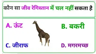 || समोसे का आविष्कार किस देश में हुआ था || Gk questions || Gk question in Hindi || Gk quiz || 