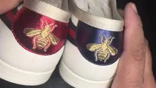 Anyone Know How To Style These GUCCI Falacer Sneakers?