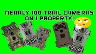 The BEST Trail Camera Method To Locate More Deer / Nearly 100 Cameras On 1 Property #hunting #deer