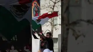 Immigrant Make America Great February 8, 2025