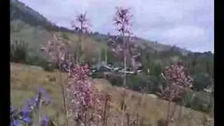 Kalınpınar Yaylası 2006