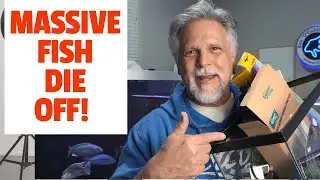 5 THINGS to STOP a *MASSIVE FISH DIE OFF*