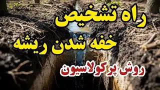 تست حیاتی بعد از باران! 🌧 (آیا خاک باغ شما زهکشی دارد؟)