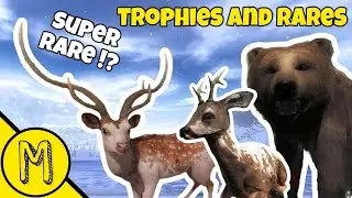 Axis SUPER RARE !! / Trophies And Rares Montage/ TheHunter Classic